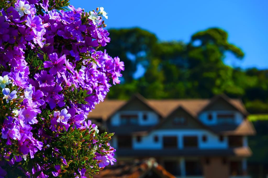 Pousada Dos Pinhos Hotel Pedra Azul  Kültér fotó